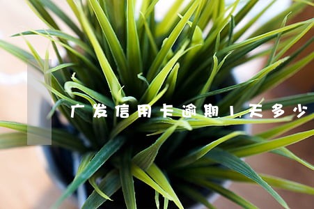 广发信用卡逾期1天多少利息 广发信用卡逾期1天多少利息