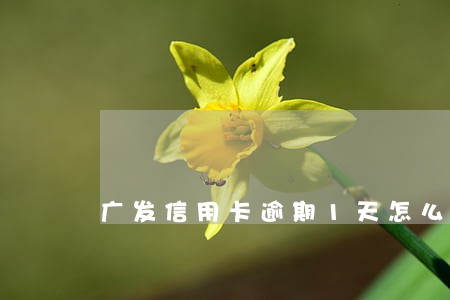 广发信用卡逾期1天怎么办 广发信用卡逾期1天怎么办