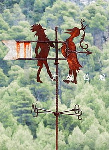 广发信用卡逾期2000 广发信用卡逾期2000