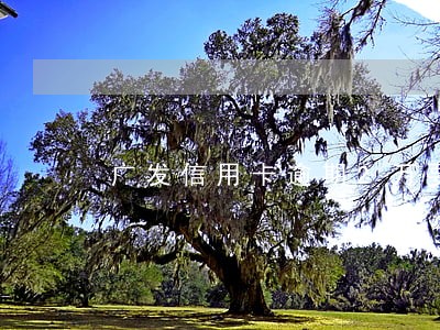 广发信用卡逾期2万要刑警 广发信用卡逾期2万要刑警