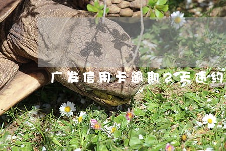广发信用卡逾期2天违约金 广发信用卡逾期2天违约金