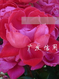 广发信用卡逾期2年亲身经历 广发信用卡逾期2年亲身经历