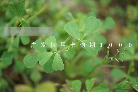 广发信用卡逾期3000可否立案 广发信用卡逾期3000可否立案