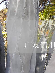 广发信用卡逾期33000