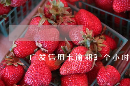 广发信用卡逾期3个小时怎么办