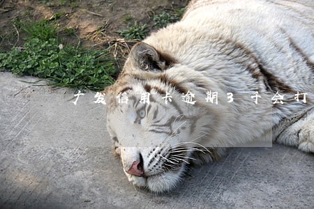 广发信用卡逾期3千会打联系人吗 广发信用卡逾期3千会打联系人吗