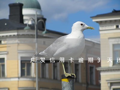 广发信用卡逾期3天还款利息