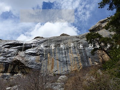 广发信用卡逾期4000一年