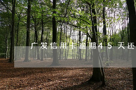 广发信用卡逾期45天还不上