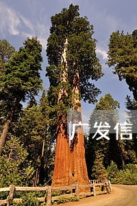 广发信用卡逾期4个月协商不成功 广发信用卡逾期4个月协商不成功