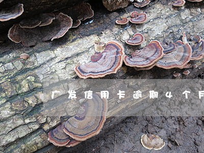 广发信用卡逾期4个月打电话 广发信用卡逾期4个月打电话