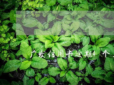 广发信用卡逾期4个月立案处理 广发信用卡逾期4个月立案处理