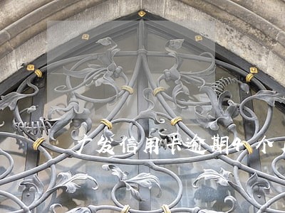 广发信用卡逾期4个月能协商妈 广发信用卡逾期4个月能协商妈