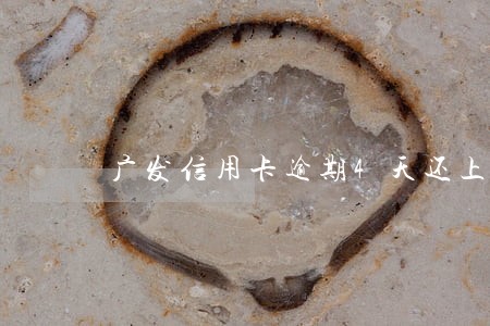 广发信用卡逾期4天还上 广发信用卡逾期4天还上