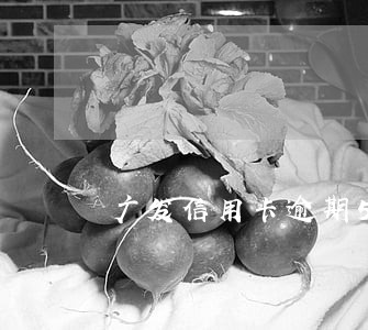 广发信用卡逾期5000以下