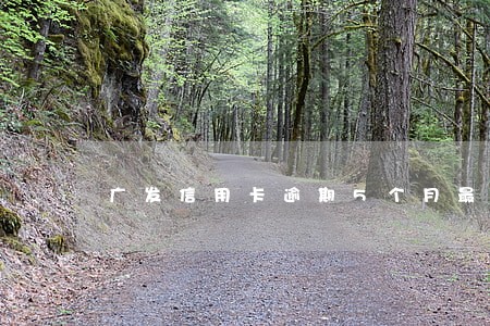 广发信用卡逾期5个月最低还款 广发信用卡逾期5个月最低还款