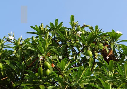 广发信用卡逾期5个月被起诉 广发信用卡逾期5个月被起诉