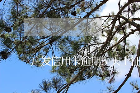 广发信用卡逾期5天上征信吗 广发信用卡逾期5天上征信吗