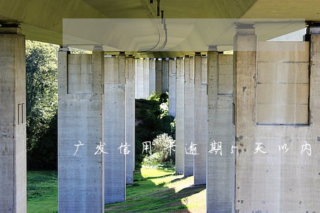广发信用卡逾期5天以内 广发信用卡逾期5天以内