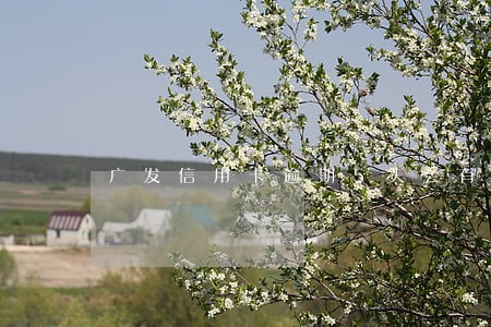广发信用卡逾期5天会有滞纳金吗 广发信用卡逾期5天会有滞纳金吗