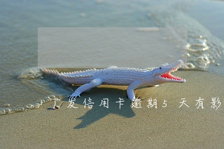 广发信用卡逾期5天有影响吗 广发信用卡逾期5天有影响吗