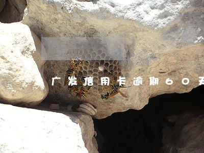 广发信用卡逾期60天会怎么样 广发信用卡逾期60天会怎么样