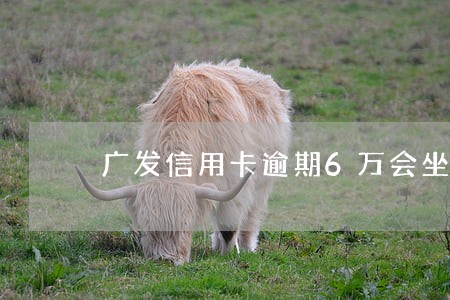 广发信用卡逾期6万会坐牢吗 广发信用卡逾期6万会坐牢吗