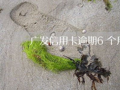 广发信用卡逾期6个月说要起诉