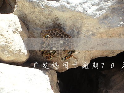广发信用卡逾期70天怎么办 广发信用卡逾期70天怎么办
