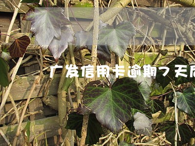 广发信用卡逾期7天后果 广发信用卡逾期7天后果