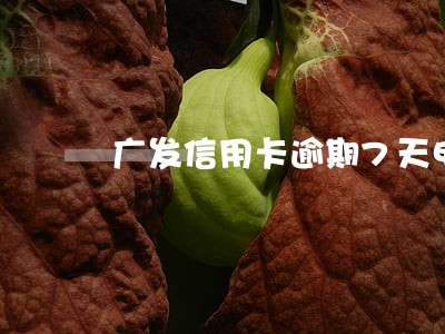 广发信用卡逾期7天电话催款 广发信用卡逾期7天电话催款