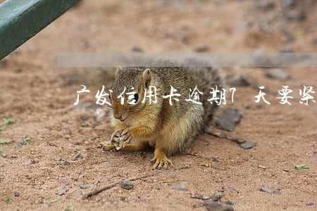广发信用卡逾期7天要紧吗 广发信用卡逾期7天要紧吗