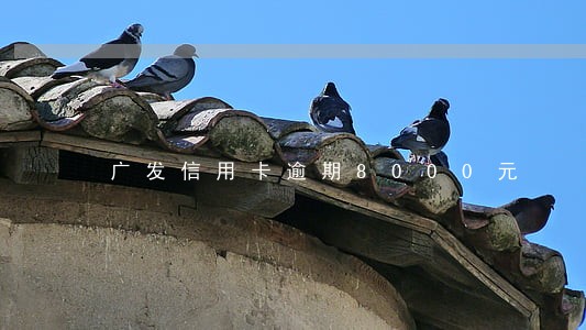 广发信用卡逾期8000元 广发信用卡逾期8000元