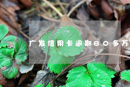 广发信用卡逾期80多万 广发信用卡逾期80多万