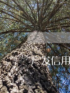 广发信用卡逾期8万八万 广发信用卡逾期8万八万