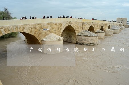 广发信用卡逾期8万是刑事吗 广发信用卡逾期8万是刑事吗