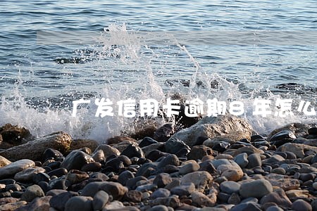 广发信用卡逾期8年怎么协商还 广发信用卡逾期8年怎么协商还