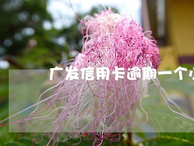 广发信用卡逾期一个小时
