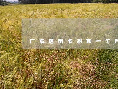 广发信用卡逾期一个月怎么协商