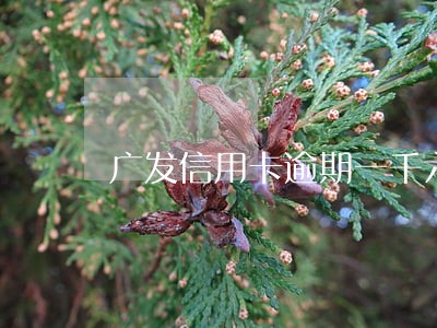 广发信用卡逾期一千六 广发信用卡逾期一千六