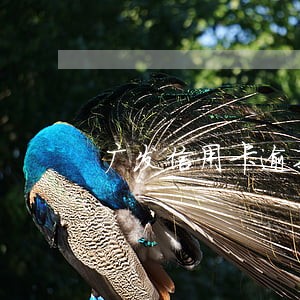 广发信用卡逾期一天10几个电话