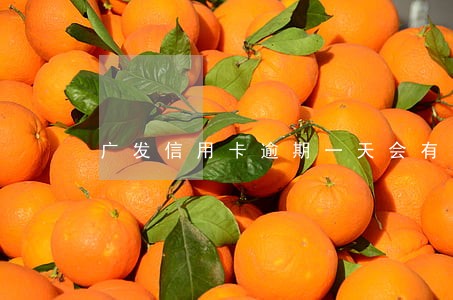 广发信用卡逾期一天会有不良记录 广发信用卡逾期一天会有不良记录