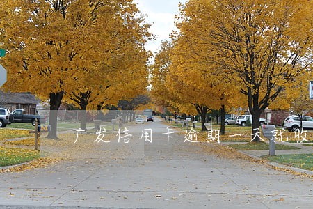 广发信用卡逾期一天就收手续费 广发信用卡逾期一天就收手续费