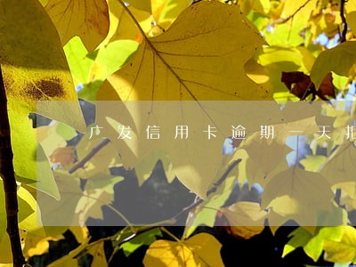 广发信用卡逾期一天扣20块 广发信用卡逾期一天扣20块