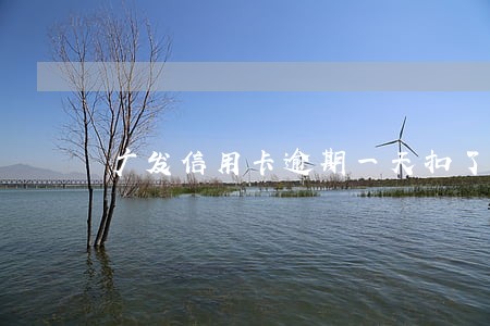 广发信用卡逾期一天扣了100多 广发信用卡逾期一天扣了100多