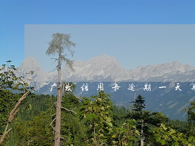 广发信用卡逾期一天算