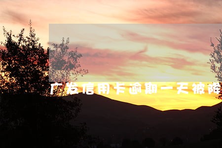 广发信用卡逾期一天被降额度 广发信用卡逾期一天被降额度