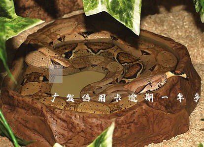 广发信用卡逾期一年多没还了 广发信用卡逾期一年多没还了