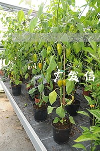 广发信用卡逾期一年寄账单 广发信用卡逾期一年寄账单