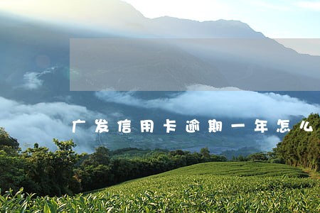 广发信用卡逾期一年怎么处理 广发信用卡逾期一年怎么处理